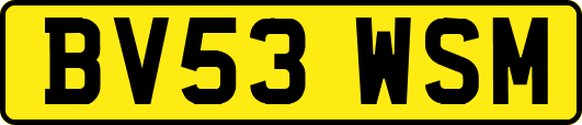 BV53WSM