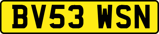 BV53WSN