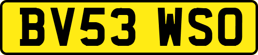BV53WSO