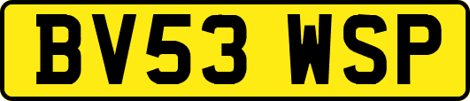 BV53WSP