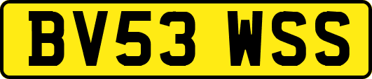 BV53WSS
