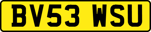 BV53WSU