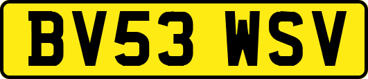 BV53WSV