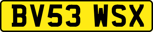 BV53WSX