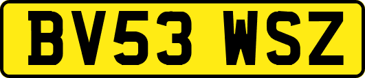 BV53WSZ