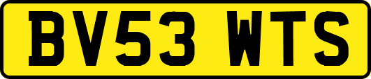 BV53WTS