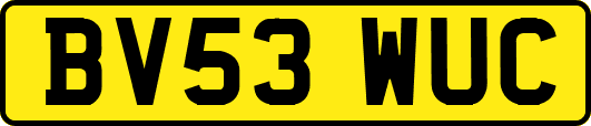 BV53WUC