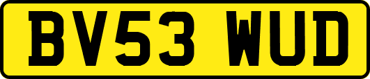 BV53WUD