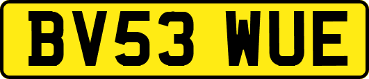 BV53WUE