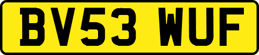 BV53WUF