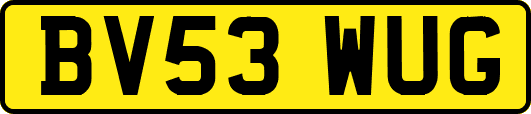 BV53WUG