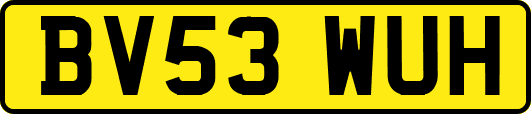 BV53WUH