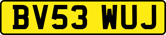 BV53WUJ