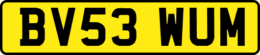 BV53WUM