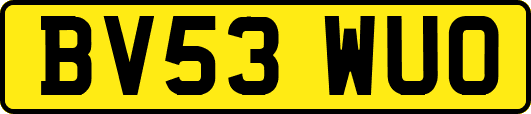 BV53WUO