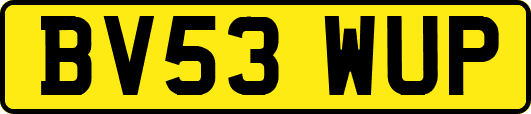 BV53WUP