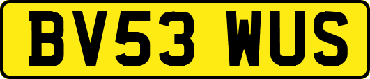 BV53WUS