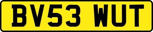 BV53WUT