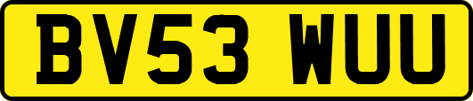 BV53WUU