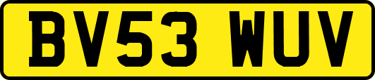 BV53WUV