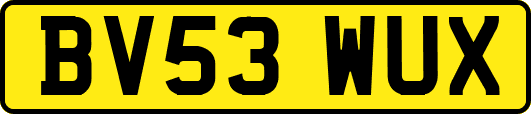BV53WUX