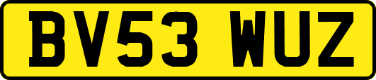 BV53WUZ