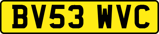 BV53WVC