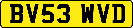 BV53WVD