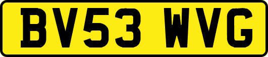 BV53WVG