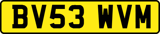 BV53WVM