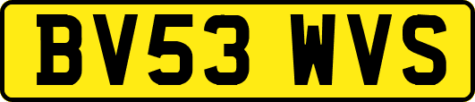BV53WVS