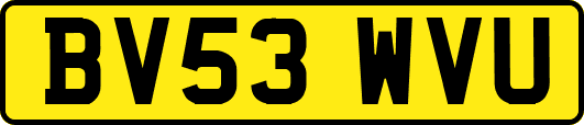 BV53WVU