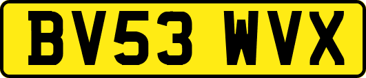 BV53WVX
