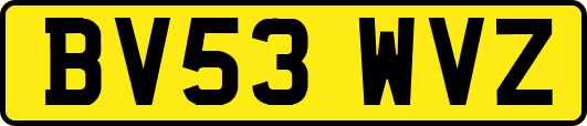 BV53WVZ