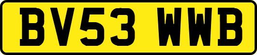 BV53WWB