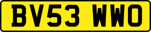 BV53WWO