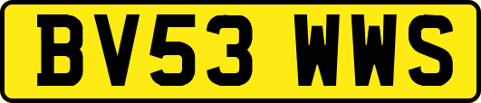 BV53WWS