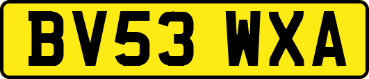 BV53WXA