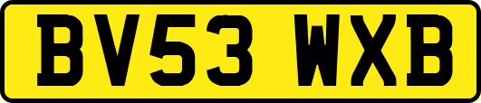 BV53WXB