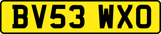 BV53WXO