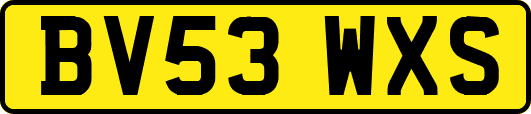 BV53WXS