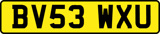 BV53WXU