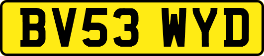 BV53WYD