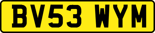 BV53WYM