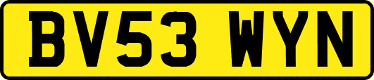 BV53WYN