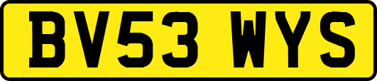 BV53WYS