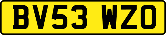 BV53WZO