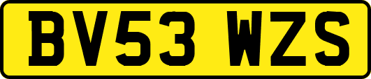 BV53WZS