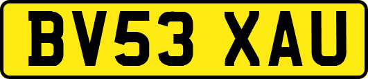BV53XAU