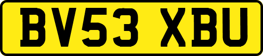 BV53XBU
